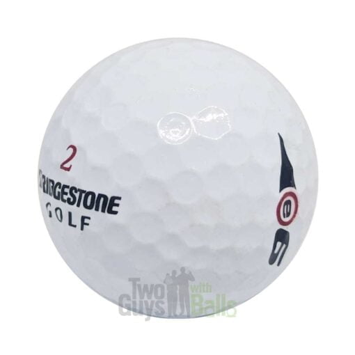 bridgestone e6 used golf balls